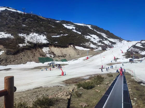 20260405 Leitariegos