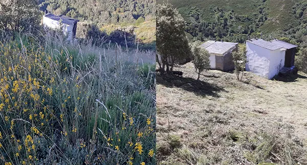 ANTES Y DESPUES PLAN MONTEL