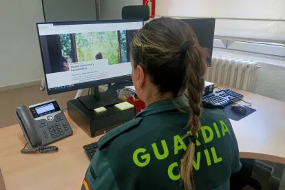 DELITOS INFORMATICOS GUARDIA CIVIL