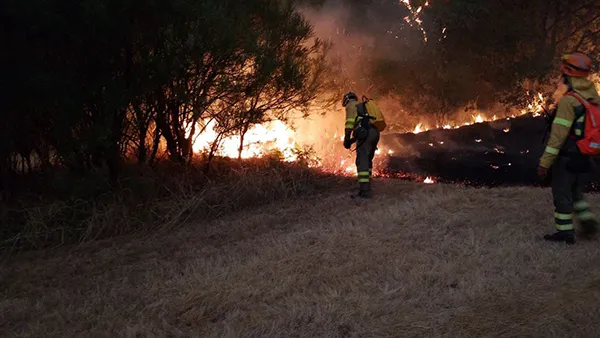 INCENDIOS FORESTALES