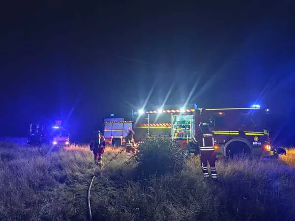 INTERVENCION DE LOS BOMBEROS DEL SEPEIS