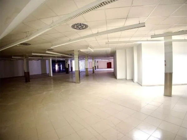 LOCALES EN SAN ANDRES DEL RABANEDO