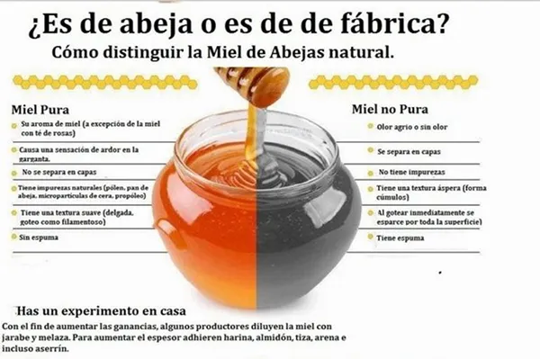INFOGRAFIA SOBRE LA AUTENTICIDAD DE LA MIEL
