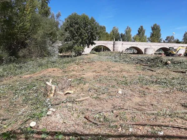 Rio Bernesga