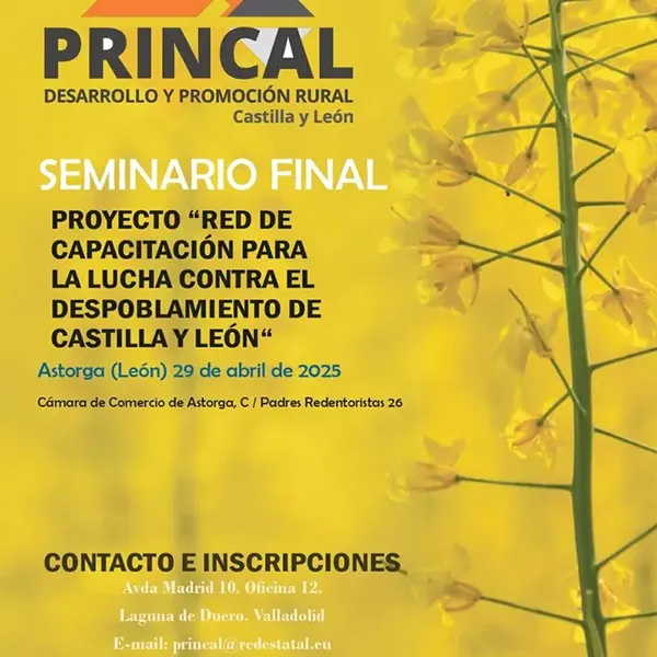 Capacitación-para-la-Lucha-Contra-el-Despoblamiento-en-Castilla-y-León