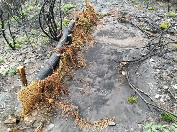 seguimiento emergencia CHMS 2025_20251021_120854521