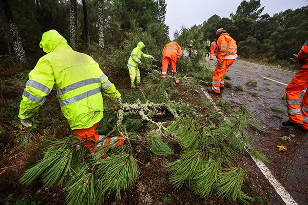 OPERARIOS DE MANTENIMIENTO DE CARRETERAS RETIRANDO RAMAS CAIDAS