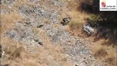 VIDEO OSEZNO BARNIEDO (1)