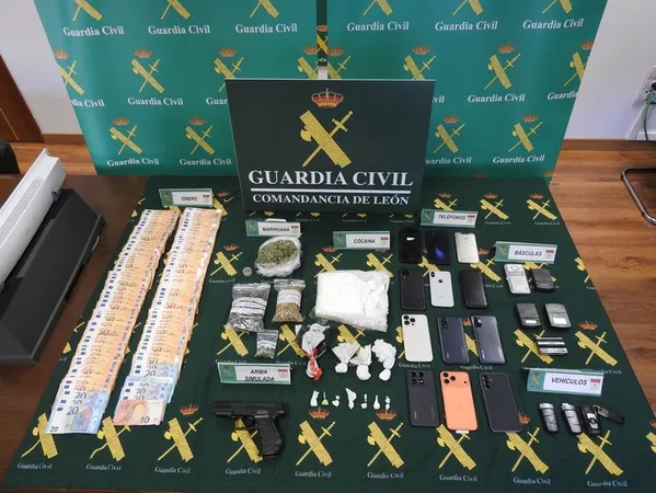 DECOMISADOS POR LA GUARDIA CIVIL