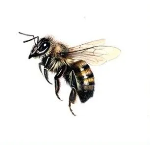 abeja