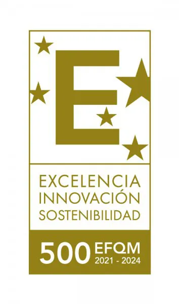 EFQM 500+