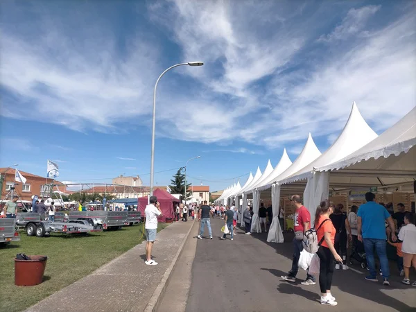 FERIA MULTISECTORIAL DE STA. MARIA DEL PARAMO