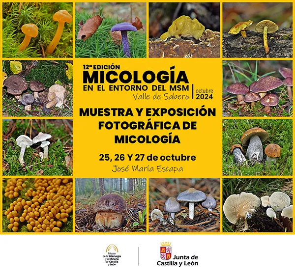 Exposicion-micologica MSM