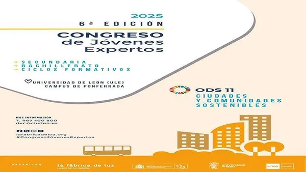 VI Congreso de Jóvenes Expertos