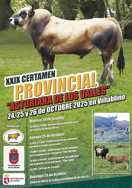 Cartel certamen asturiana 2025