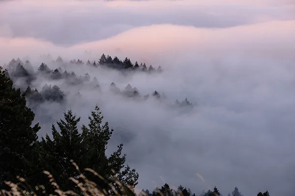 NIEBLA