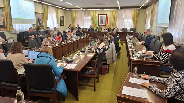 CONSEJO DE GOBIERNO DE LA ULE