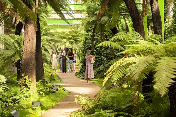 HELECHOS TERMICA CULTURAL