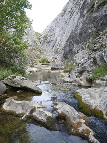 RIO TORIO