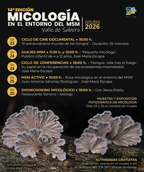 Micologia-en-el-entorno-del-MSM-2026