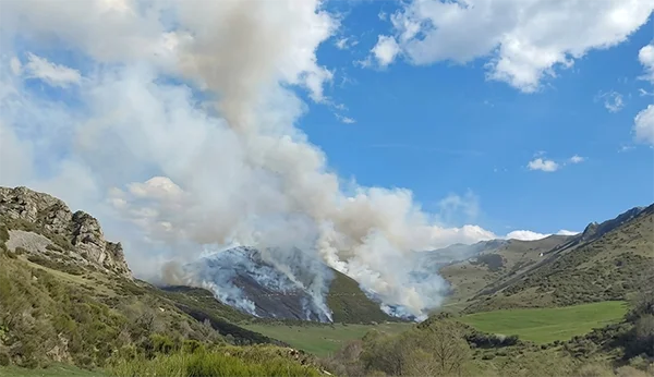 INCENDIO EN BUSDONGO DE ARBAS