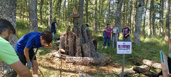 WhatsApp+Image+2025-03-26+at+13.48.12+(2)