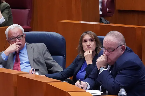 LOS CONSEJEROS DE CULTURA, EDUCACION Y SANIDAD EN EL PLENO DE LAS CORTES DE CYL