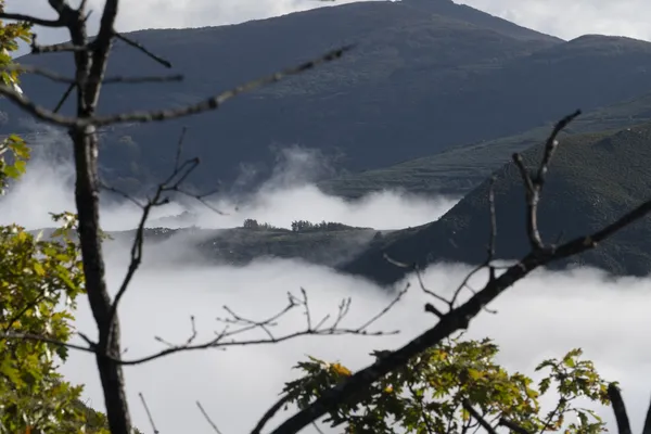 PAISAJE DE LA TEBAIDA BERCIANA