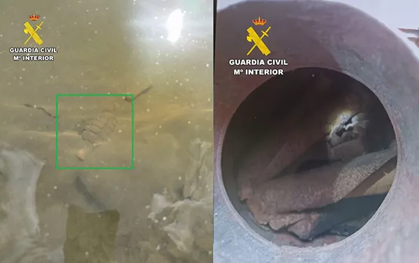 granada-y-explosivos