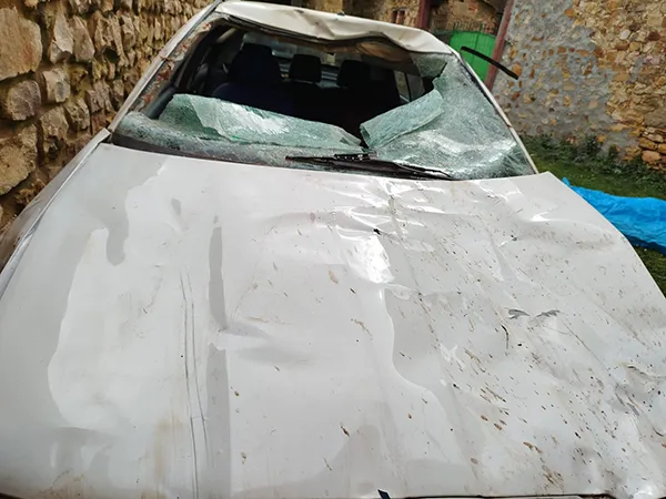 VEHICULO SINIESTRADO EN UN IMPACTO CONTRA DOS CABALLOS EN EL TERMINO MUNICIPAL DE BOÑAR