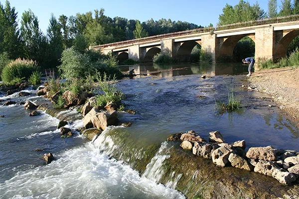 PUENTE SOBRE EL RIO CEA