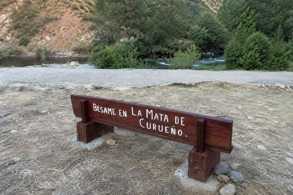 LA MATA DE CURUEÑO