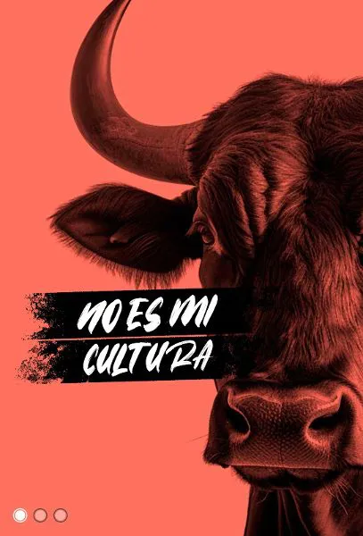 NO ES MI CULTURA