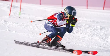 ESQUI AUDI QUATRO CUP