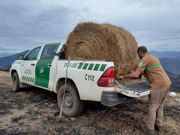 REPARTO DE ALIMENTOS POR PARTE DE CELADORES DEL PARQUE DE RIAÑO