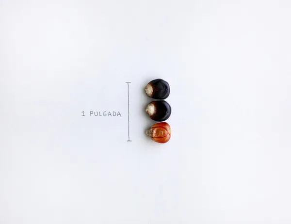 tres granos una pulgada def
