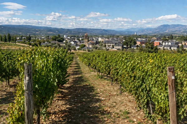 VIÑEDOS