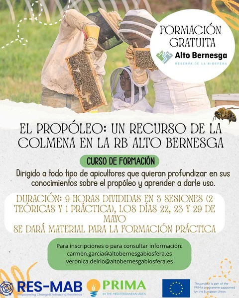Póster curso propóleo