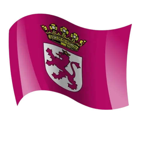 bandera-del-reino-de-leon