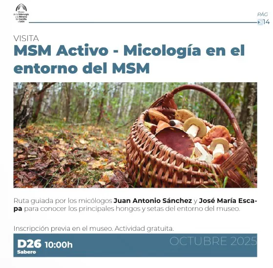 MSM MICOLOGIA