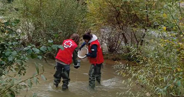 PLASTICOS EN EL TORIO Y BERNESGA
