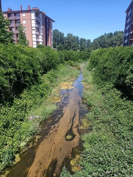 CANAL DE CARBOSILLO