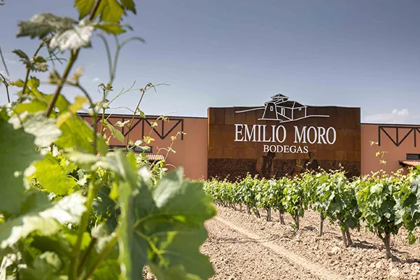 BODEGAS_EMILIO_MORO9-1-scaled