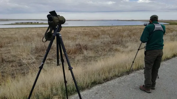 OBSERVACION DE AVES ACUATICAS EN UN HUMEDAL