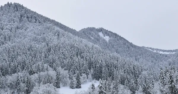 TEMPORAL