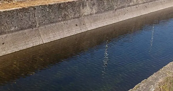 CANAL DE ARRIOLA