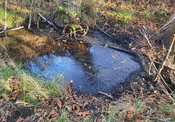Cenizas en el Rio Duerna