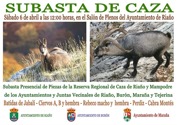 SUBASTA DE CAZA DE RIAÑO