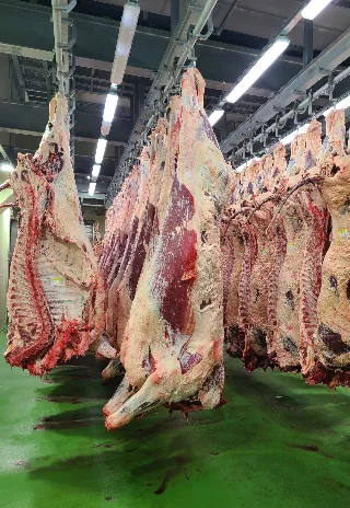 MATADERO