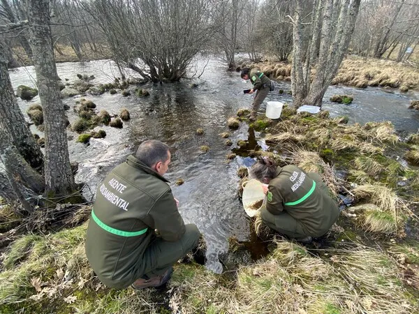 SUELTA DE TRUCHAS EN EL RIO TERA